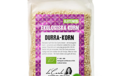 Sorghum ( Durra) en av de högst rankade antioxidanta födan.