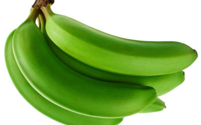 Fiberinnehåll i mat